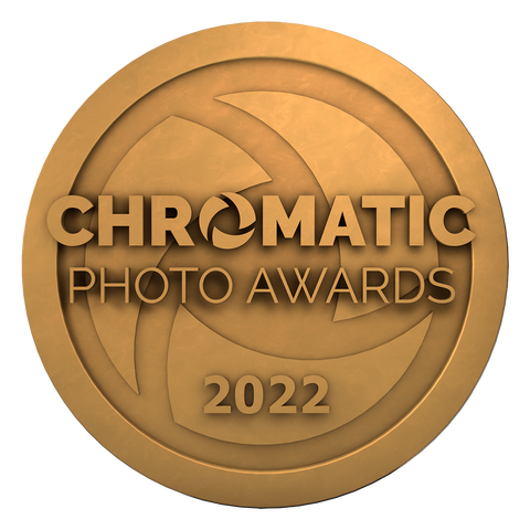 1st place chromatic awards 2022